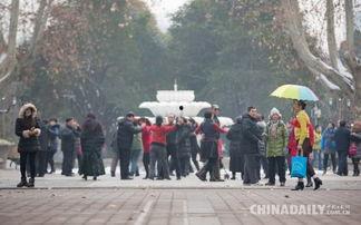 郑州一中爆料新闻事件最新,揭秘校园事件背后的真相与反思  第2张